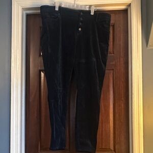 Loft Plus Blue Velvet Modern Skinny Pants with button fly.